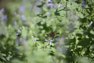 20130929-004.JPG
