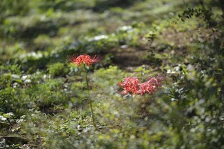 20130929-005.JPG