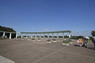 20130929-007.JPG