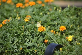 20130929-009.JPG